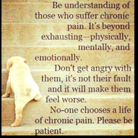 🧁 Calphalon Muffin Tin 12 EPLC - Picture 5 of 16